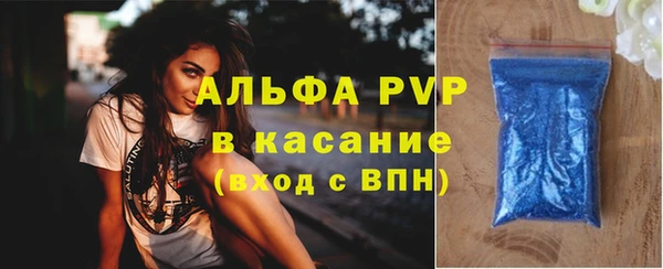 спайс Инта
