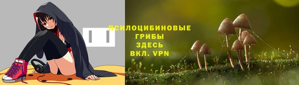 спайс Инта