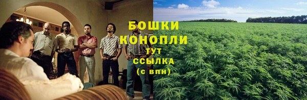 спайс Инта