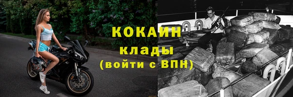 спайс Инта