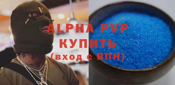 спайс Инта