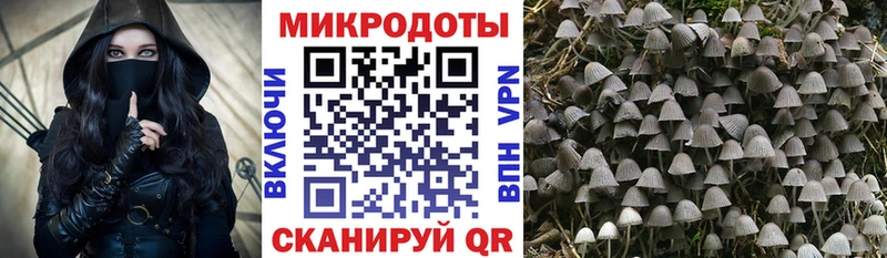 Псилоцибиновые грибы ЛСД  где найти наркотики  Ясногорск 